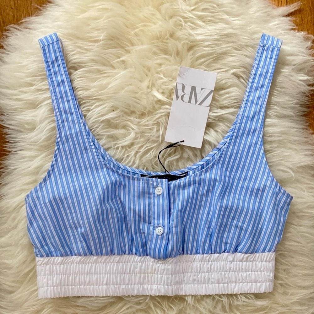 Zara Blue and White Striped Crop Top
